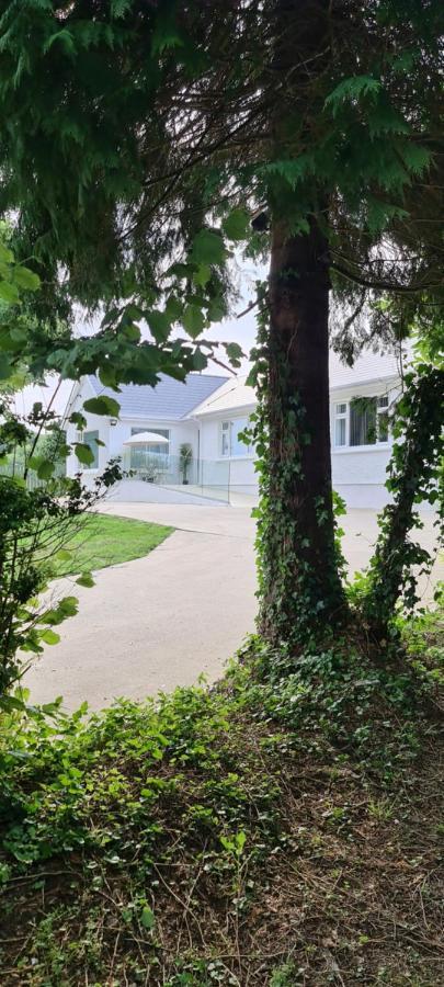 Annie'S House With Thermal Health Spa Moville Ngoại thất bức ảnh
